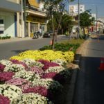 Όμορφες γωνιές δημιουργούνται στις πλατείες και στους πεζοδρόμους