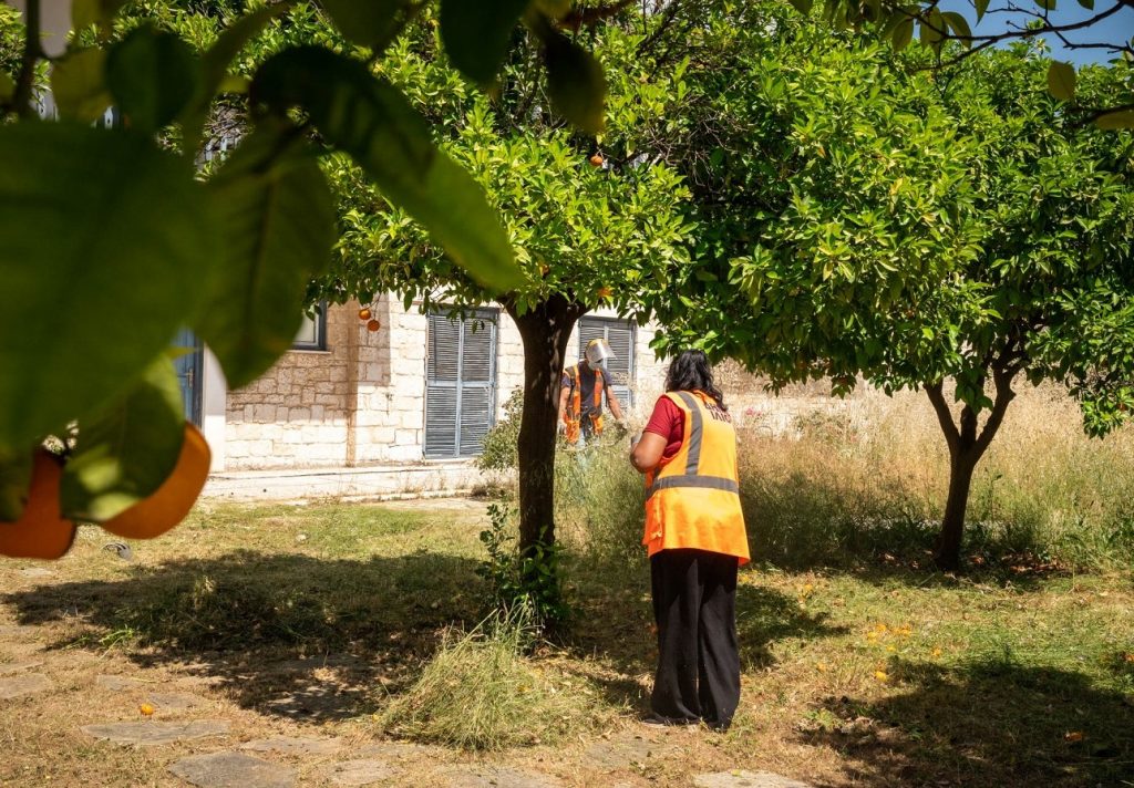 Οι υπηρεσίες του Δήμου Ιλίου φροντίζουν  το πράσινο, καθαρίζουν, αποψιλώνουν και φυτεύουν πολύχρωμα λουλούδια για να ομορφύνουν τον χώρο