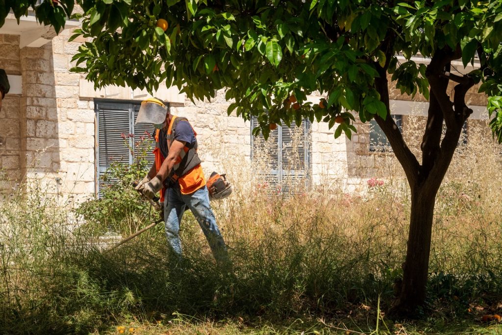 Οι υπηρεσίες του Δήμου Ιλίου φροντίζουν  το πράσινο, καθαρίζουν, αποψιλώνουν και φυτεύουν πολύχρωμα λουλούδια για να ομορφύνουν τον χώρο