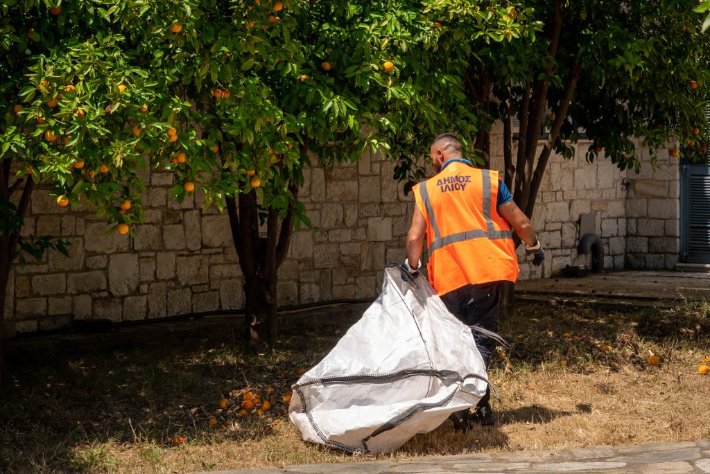 Οι υπηρεσίες του Δήμου Ιλίου φροντίζουν  το πράσινο, καθαρίζουν, αποψιλώνουν και φυτεύουν πολύχρωμα λουλούδια για να ομορφύνουν τον χώρο