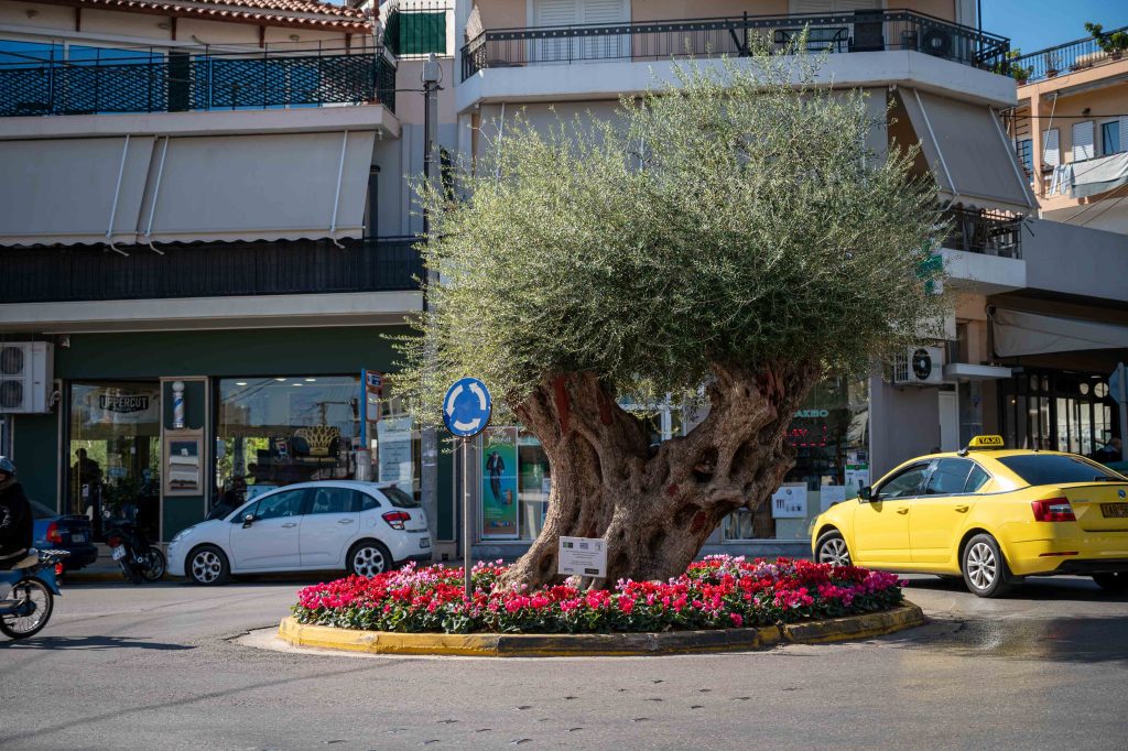 Εντάχθηκε στο χρηματοδοτικό πρόγραμμα του Πράσινου Ταμείου η ανάπλαση της ευρύτερης περιοχής Ζωοδόχου Πηγής