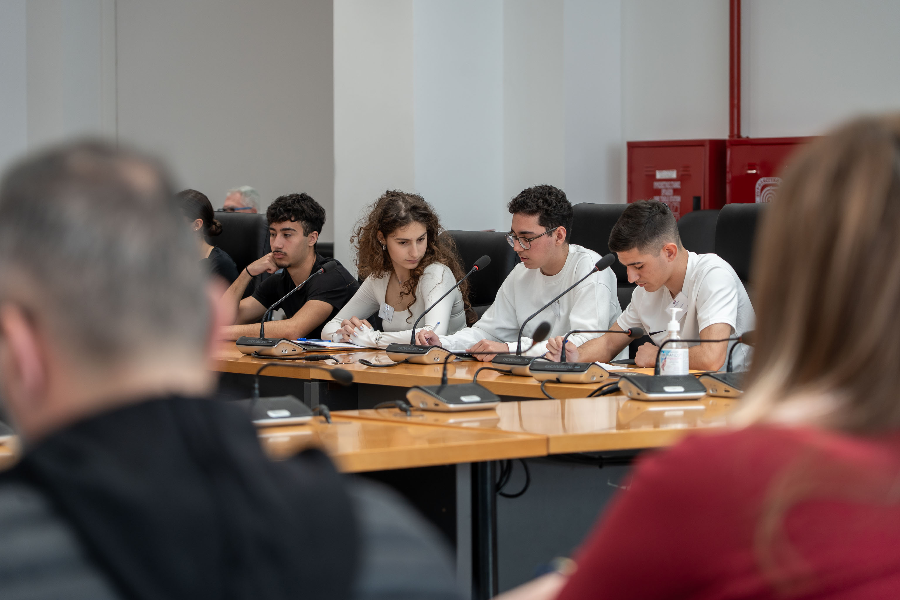 Δημοτικά Συμβούλια Εφήβων Δήμου Ιλίου 
